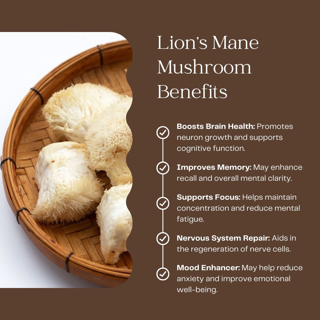 Rise Mushroom Coffee - Infused with Lion’s Mane & Chaga - 45 Servings